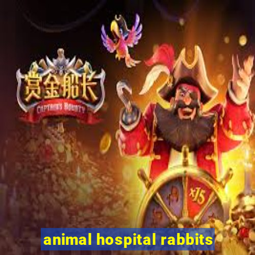 animal hospital rabbits